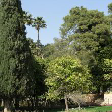 Im Garten des Grabmals Im Garten des Grabmals