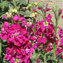 Im Garten des Grabmals Im Garten des Grabmals