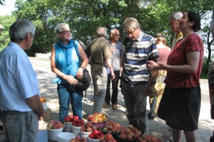 Bild: Obstkauf an Strassenrand Bild: Obstkauf an Strassenrand