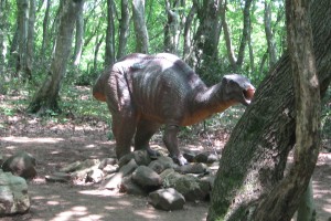 Bild: im Naturpark Sataplia Bild: im Naturpark Sataplia