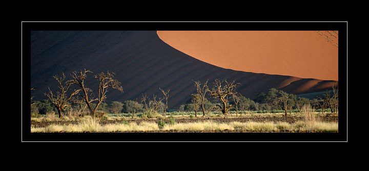 Bild: In der Namib-Wüste Bild: In der Namib-Wüste