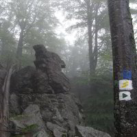 Bild: Hirschenstein im Nebel