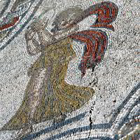 Mosaikboden in Volubilis