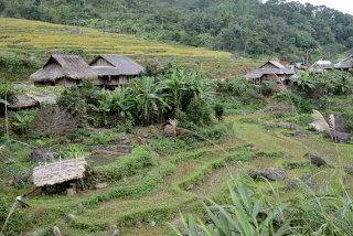 Ein kleines Dorf und ein mit Wasser betriebener Reisstampfer