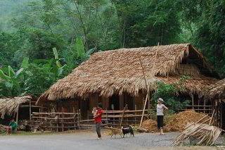 einfaches mit Palmblättern gedecktes Haus