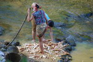 Frauen die Maniokwurzeln im Fluss waschen