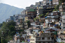 Bild: Darjeeling ist wirklich dicht bebaut