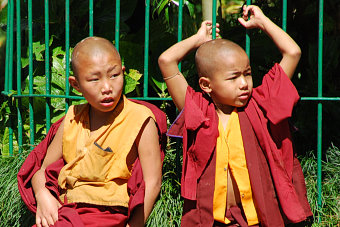 Bild: Kindermönche im Enchey-Kloster