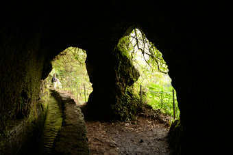 Bild: Aus einem Tunnel heraus