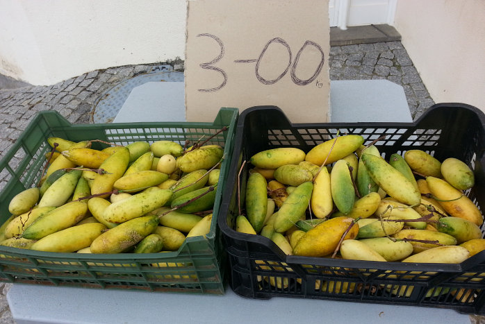Bananenmaracuja, das Kilo 3€