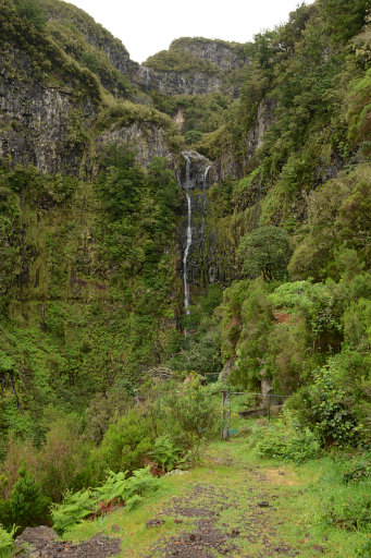 Bild: Der Risco-Wasserfall