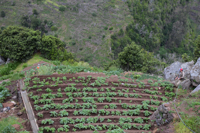 Garten am Steilhang