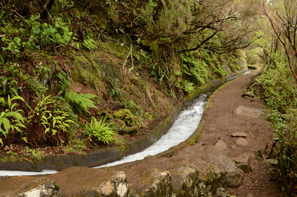 An der Wassertreppe