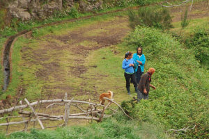 Bild: Frauen gehen zur Feldarbeit