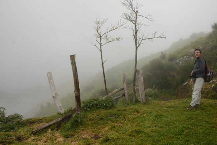 Elke verschwindet schon fast im Nebel