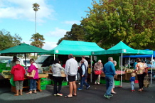 Bild: Auf dem Farmersmarket Bild: Auf dem Farmersmarket
