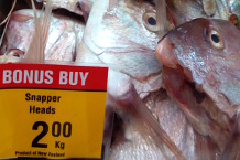 Bild: Fischköppe - Warum nicht? Bild: Fischköppe - Warum nicht?