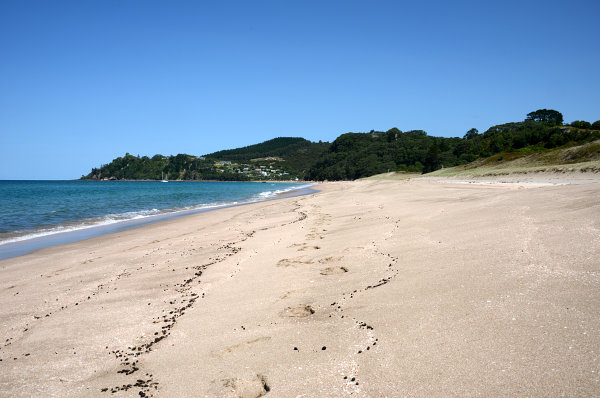 Verrückt. Ansonsten ist der Strand leer. Verrückt. Ansonsten ist der Strand leer.