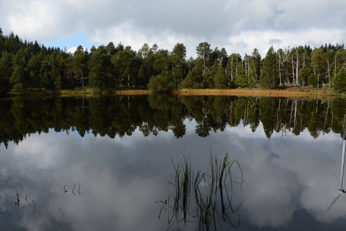 Spiegelung im Blindensee