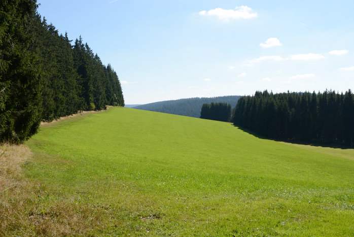 Wie ein Windows-Hintergrundbild