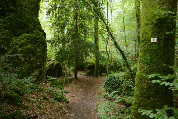 Durch die Wolfsschlucht