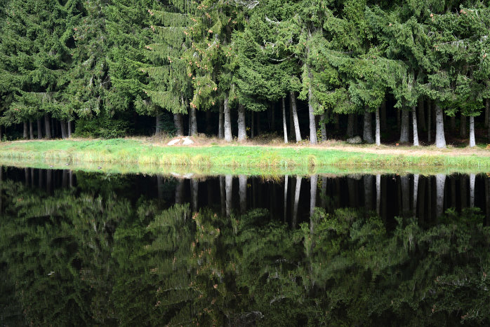 Spiegelung in einem Dorfweiher