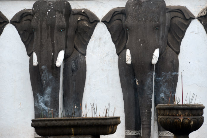 Räucherstäbchen an Elefant