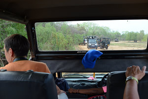 Bild: Wo isser, der Leopard? Bild: Wo isser, der Leopard?