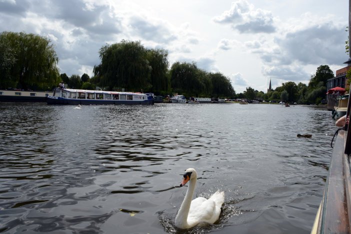 Bootsfahrt auf dem Avon