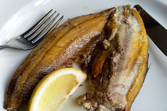 Bild: Kipper für mich Bild: Kipper für mich