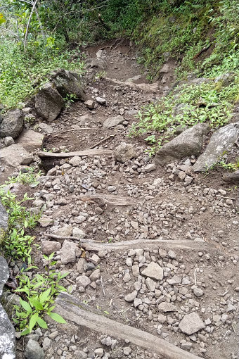Bild: Sieht so ein Wanderweg aus Bild: Sieht so ein Wanderweg aus