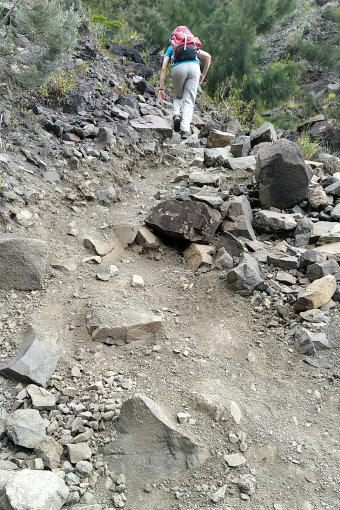 Bild: Sieht so ein Wanderweg aus? Bild: Sieht so ein Wanderweg aus?