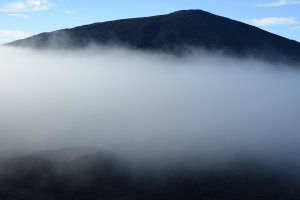 Bild: Noch stochert man im Nebel rum Bild: Noch stochert man im Nebel rum
