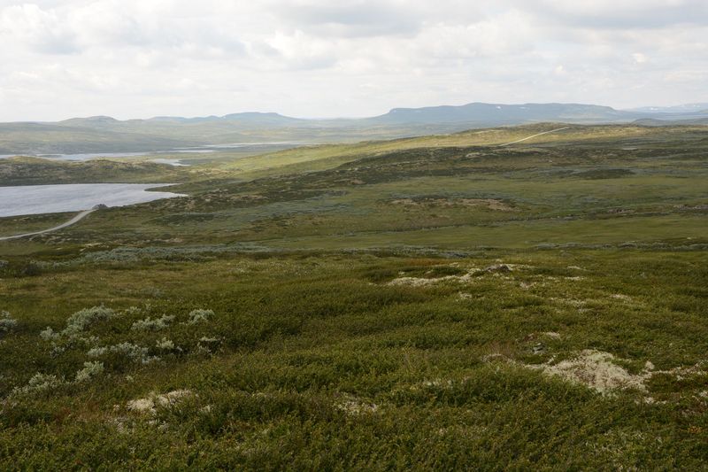 Eine tolle Landschaft