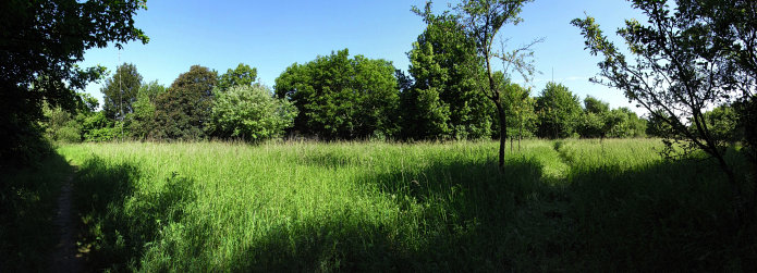 Obere Wiese mit Hilfsmasten Obere Wiese mit Hilfsmasten