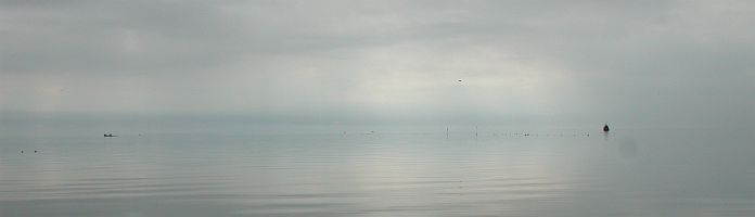Bild: Stimmungsvolles Haff Bild: Stimmungsvolles Haff