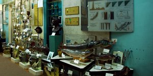 Bild: Im Baikalmuseum Bild: Im Baikalmuseum