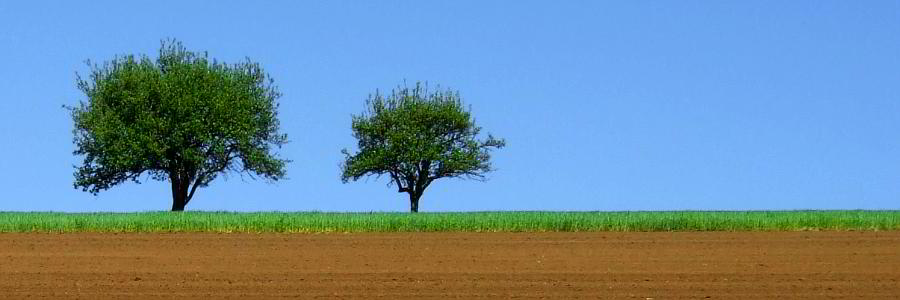 Bild: Feld unterwegs Bild: Feld unterwegs