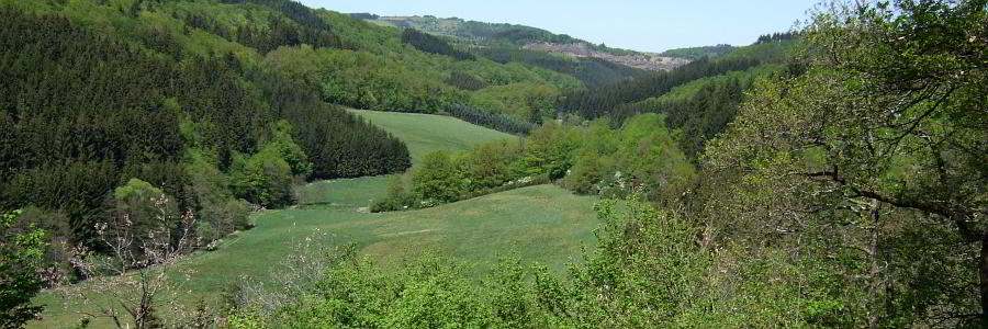 Bild: Landschaft, Landschaft..... Bild: Landschaft, Landschaft.....