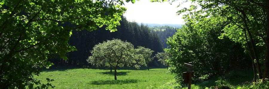 Bild: Unterwegs Bild: Unterwegs