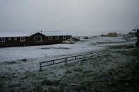 Bild: Schnee am Morgen Bild: Schnee am Morgen