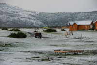 Bild: Schnee am Morgen