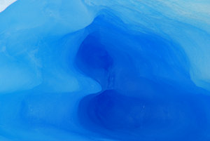 Bild: Am Greygletscher Bild: Am Greygletscher
