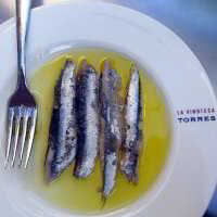 Bild: Tapas Bild: Tapas