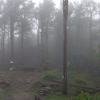 Bild: Hirschenstein im Nebel Bild: Hirschenstein im Nebel