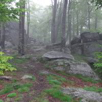 Bild: Hirschenstein im Nebel Bild: Hirschenstein im Nebel