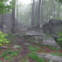 Bild: Hirschenstein im Nebel