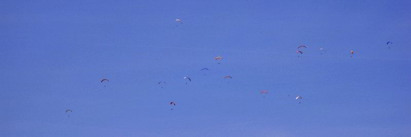 Bild: Paraglider zu Hauf