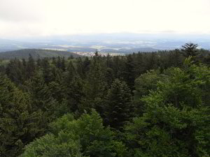 Bild: Vom Aussichtsturm auf dem Brotjacklriegel Bild: Vom Aussichtsturm auf dem Brotjacklriegel