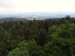 Bild: Vom Aussichtsturm auf dem Brotjacklriegel